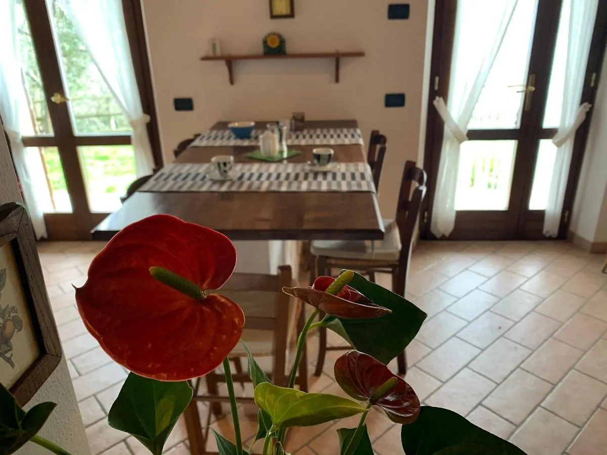 גרגננו Villa Panorama 0*,